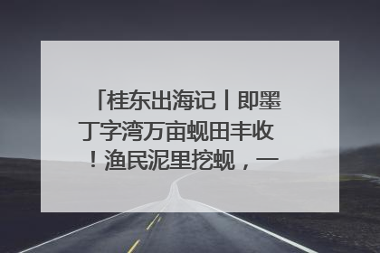 桂东出海记丨即墨丁字湾万亩蚬田丰收！渔民泥里挖蚬，一天上岸过千斤