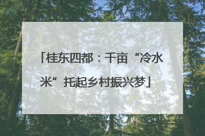 桂东四都：千亩“冷水米”托起乡村振兴梦