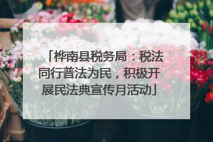 桦南县税务局：税法同行普法为民，积极开展民法典宣传月活动