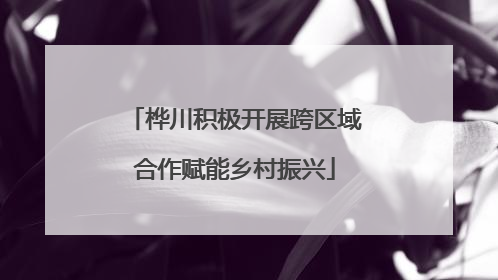 桦川积极开展跨区域合作赋能乡村振兴