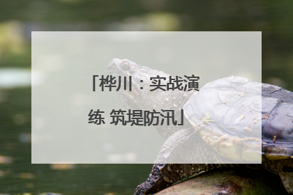 桦川：实战演练 筑堤防汛
