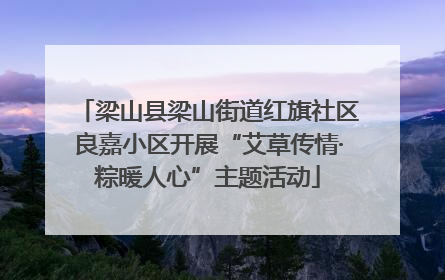 梁山县梁山街道红旗社区良嘉小区开展“艾草传情·粽暖人心”主题活动