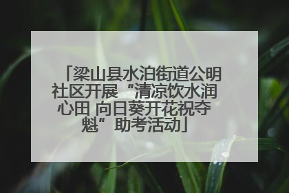 梁山县水泊街道公明社区开展“清凉饮水润心田 向日葵开花祝夺魁”助考活动