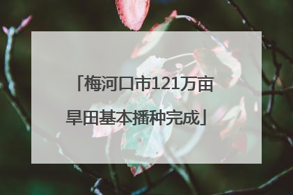 梅河口市121万亩旱田基本播种完成