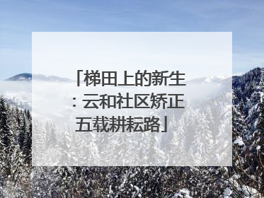 梯田上的新生：云和社区矫正五载耕耘路