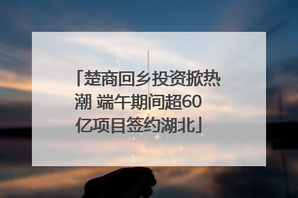 楚商回乡投资掀热潮 端午期间超60亿项目签约湖北
