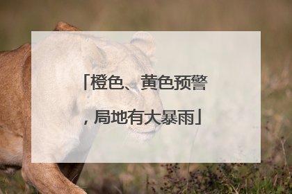 橙色、黄色预警，局地有大暴雨