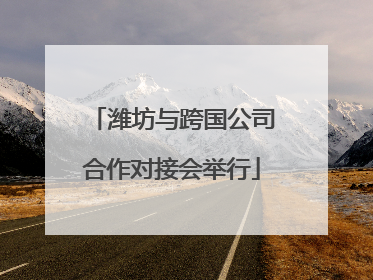 潍坊与跨国公司合作对接会举行