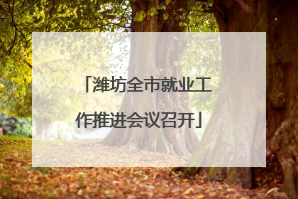 潍坊全市就业工作推进会议召开