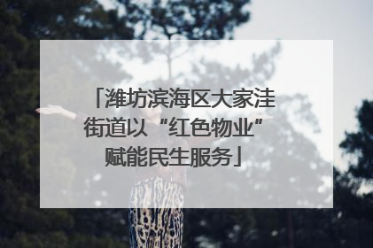 潍坊滨海区大家洼街道以“红色物业”赋能民生服务