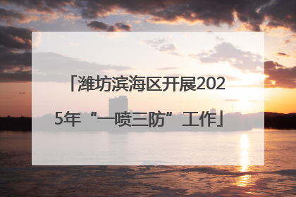 潍坊滨海区开展2025年“一喷三防”工作
