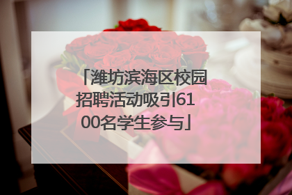 潍坊滨海区校园招聘活动吸引6100名学生参与