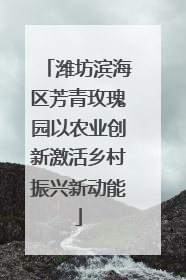 潍坊滨海区芳青玫瑰园以农业创新激活乡村振兴新动能