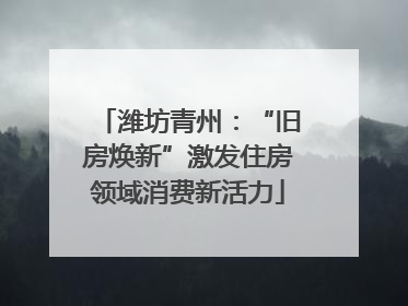 潍坊青州：“旧房焕新”激发住房领域消费新活力