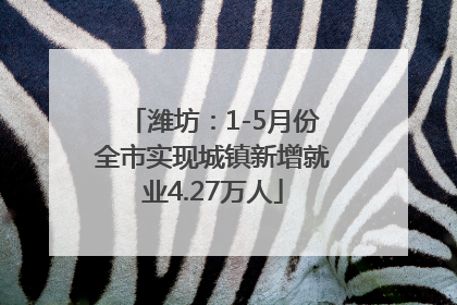 潍坊：1-5月份全市实现城镇新增就业4.27万人