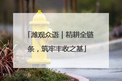 潍观众语｜精耕全链条，筑牢丰收之基