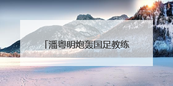 潘粤明炮轰国足教练伊万：一个装傻不辞职的所谓教练，你指望它拯救中国足球！此前曾多次发文评价国足