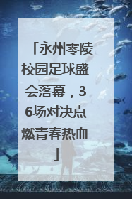 永州零陵校园足球盛会落幕，36场对决点燃青春热血