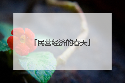 民营经济的春天