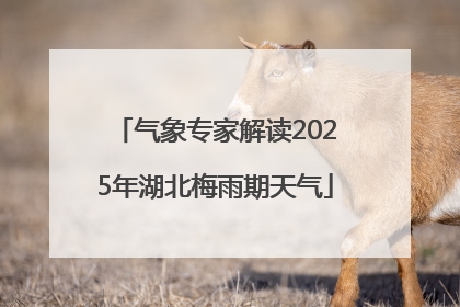 气象专家解读2025年湖北梅雨期天气