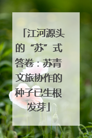 江河源头的“苏”式答卷：苏青文旅协作的种子已生根发芽