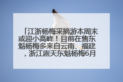 江浙杨梅采摘游本周末或迎小高峰！目前在售东魁杨梅多来自云南、福建，浙江露天东魁杨梅6月中旬大量上市