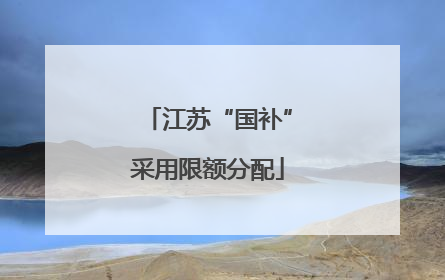 江苏“国补”采用限额分配