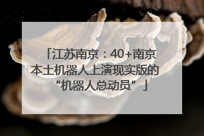 江苏南京：40+南京本土机器人上演现实版的“机器人总动员”