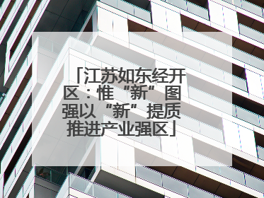 江苏如东经开区：惟“新”图强以“新”提质推进产业强区