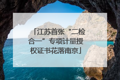 江苏首张“二检合一”专项计量授权证书花落南京