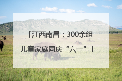 江西南昌：300余组儿童家庭同庆“六一”