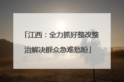 江西：全力抓好整改整治解决群众急难愁盼