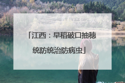 江西：早稻破口抽穗 统防统治防病虫