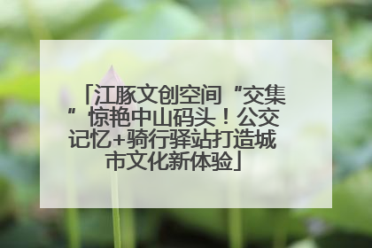 江豚文创空间“交集”惊艳中山码头！公交记忆+骑行驿站打造城市文化新体验