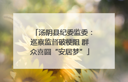 汤阴县纪委监委：巡察监督破梗阻 群众喜圆“安居梦”