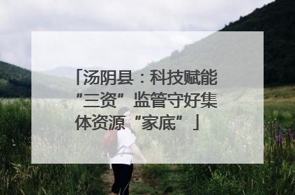 汤阴县：科技赋能“三资”监管守好集体资源“家底”