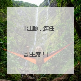 汪顺，连任副主席！