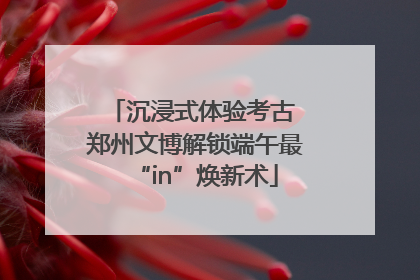 沉浸式体验考古 郑州文博解锁端午最“in”焕新术