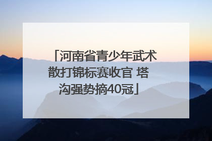 河南省青少年武术散打锦标赛收官 塔沟强势摘40冠