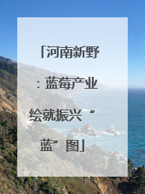河南新野：蓝莓产业绘就振兴“蓝”图