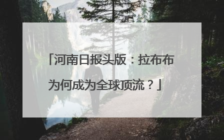 河南日报头版：拉布布为何成为全球顶流？