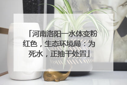 河南洛阳一水体变粉红色，生态环境局：为死水，正抽干处置