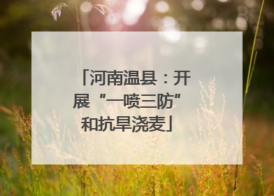 河南温县：开展“一喷三防”和抗旱浇麦
