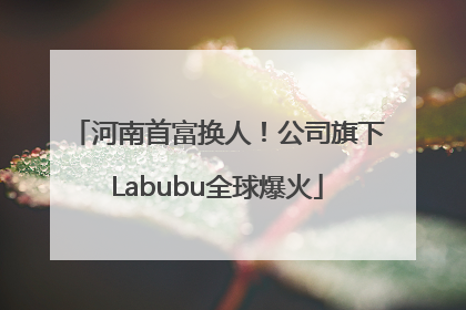 河南首富换人！公司旗下Labubu全球爆火