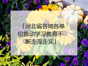 河北省各地各单位推动学习教育不断走深走实