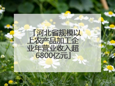 河北省规模以上农产品加工企业年营业收入超6800亿元