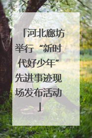 河北廊坊举行“新时代好少年”先进事迹现场发布活动