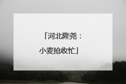 河北隆尧：小麦抢收忙