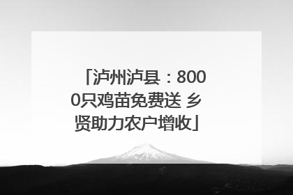 泸州泸县：8000只鸡苗免费送 乡贤助力农户增收