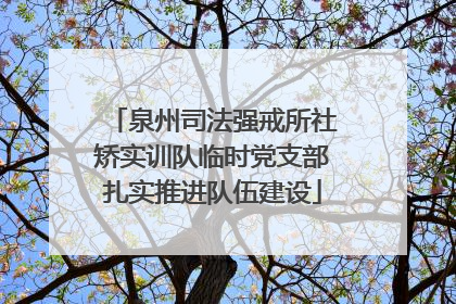 泉州司法强戒所社矫实训队临时党支部扎实推进队伍建设